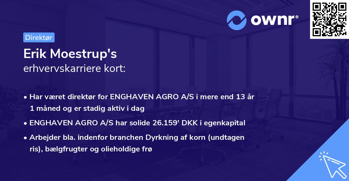 Erik Moestrup's erhvervskarriere kort