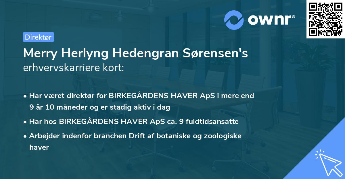 Merry Herlyng Hedengran Sørensen's erhvervskarriere kort
