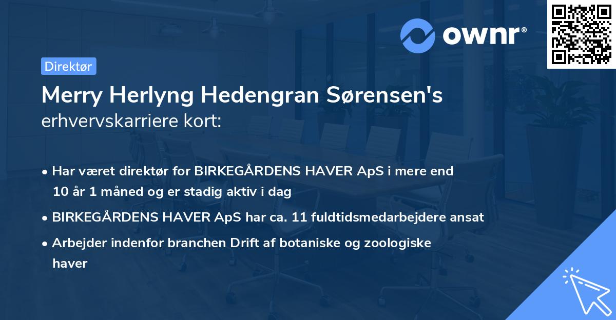 Merry Herlyng Hedengran Sørensen's erhvervskarriere kort