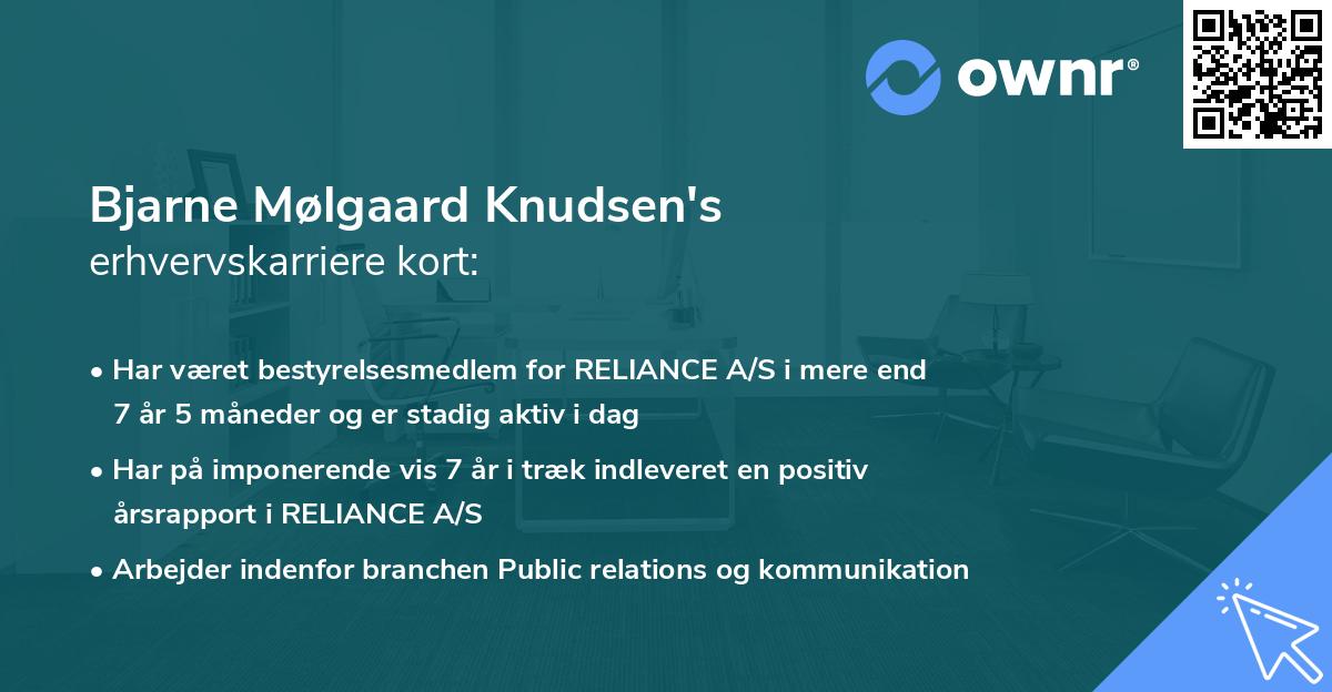 Bjarne Mølgaard Knudsen's erhvervskarriere kort