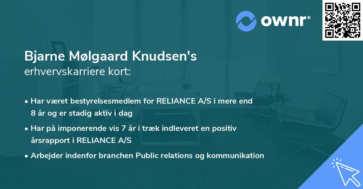 Bjarne Mølgaard Knudsen's erhvervskarriere kort