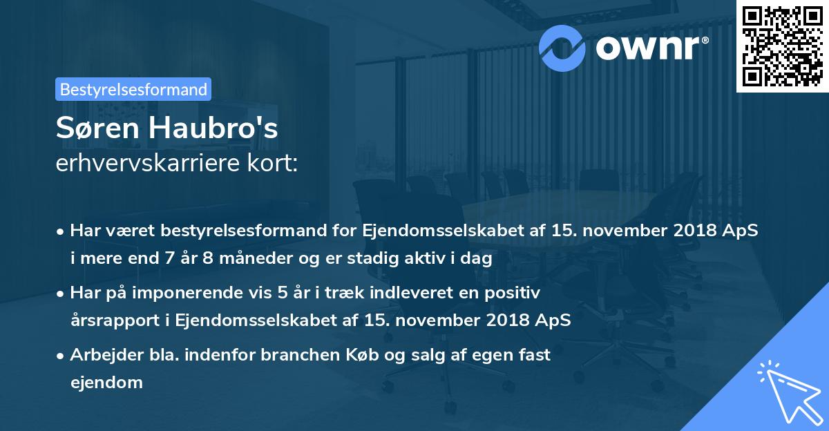 Søren Haubro's erhvervskarriere kort