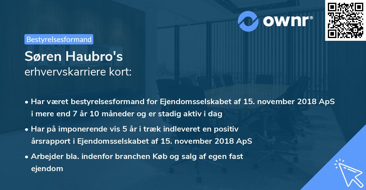 Søren Haubro's erhvervskarriere kort