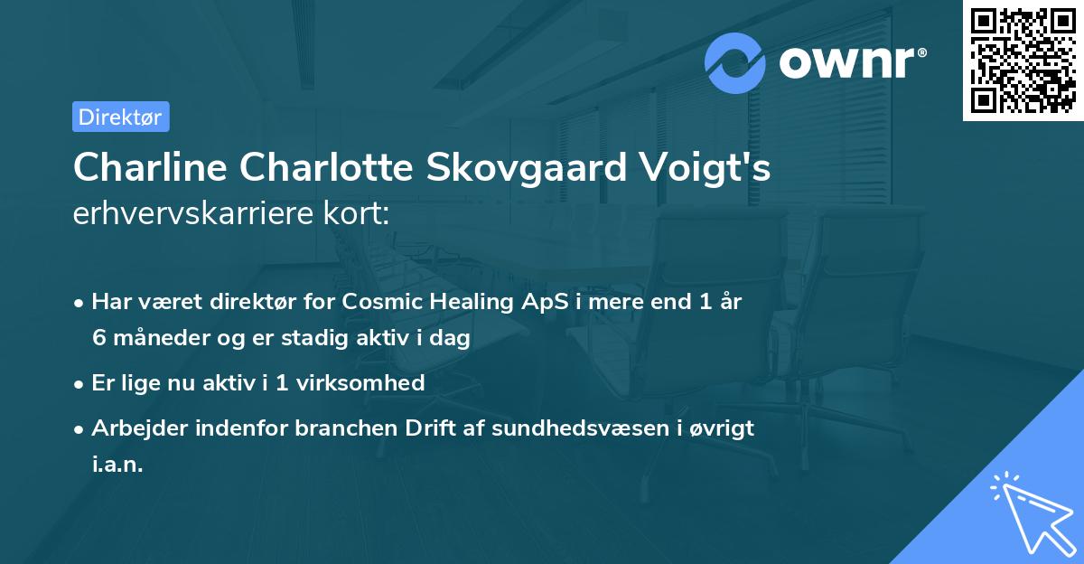 Charline Charlotte Skovgaard Voigt's erhvervskarriere kort