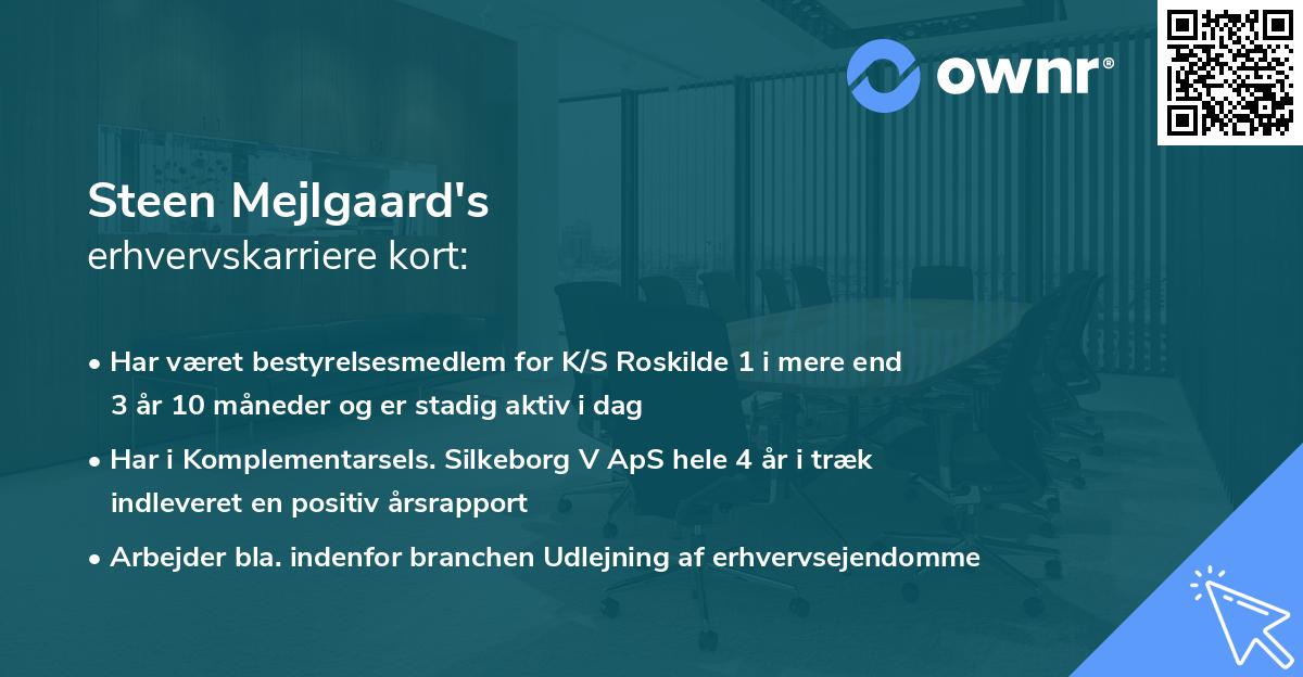 Steen Mejlgaard's erhvervskarriere kort