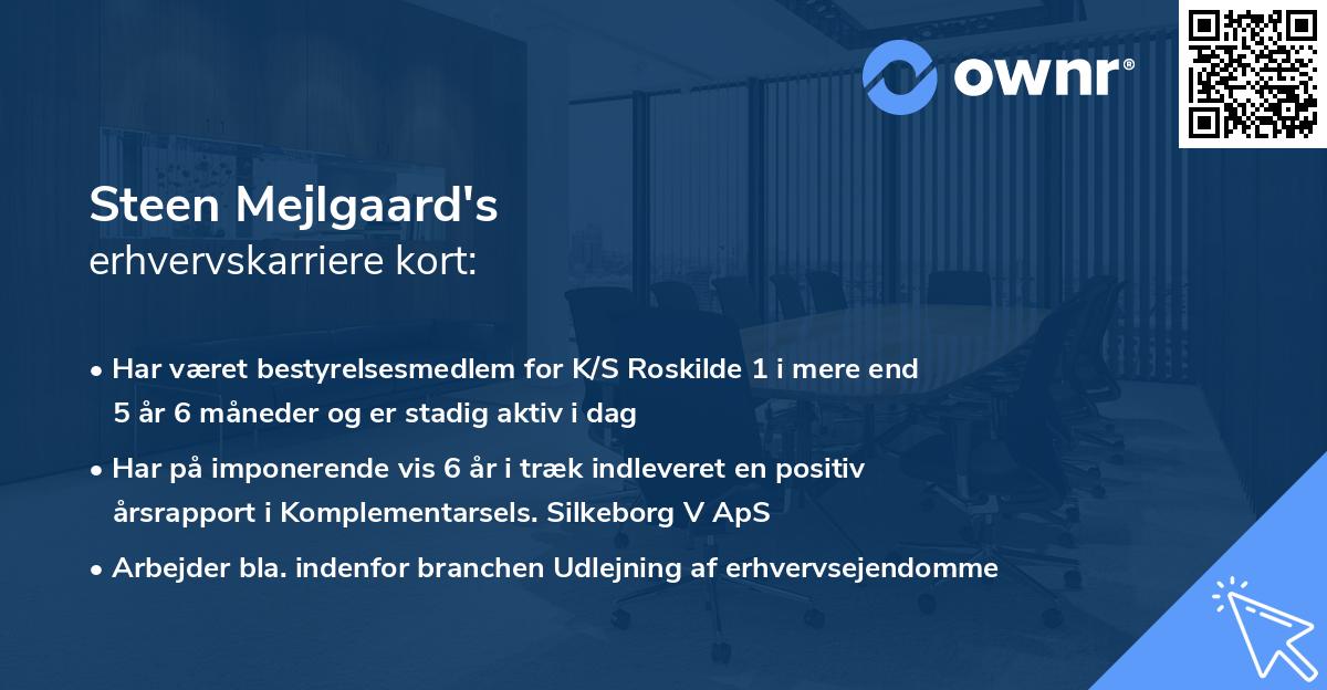 Steen Mejlgaard's erhvervskarriere kort