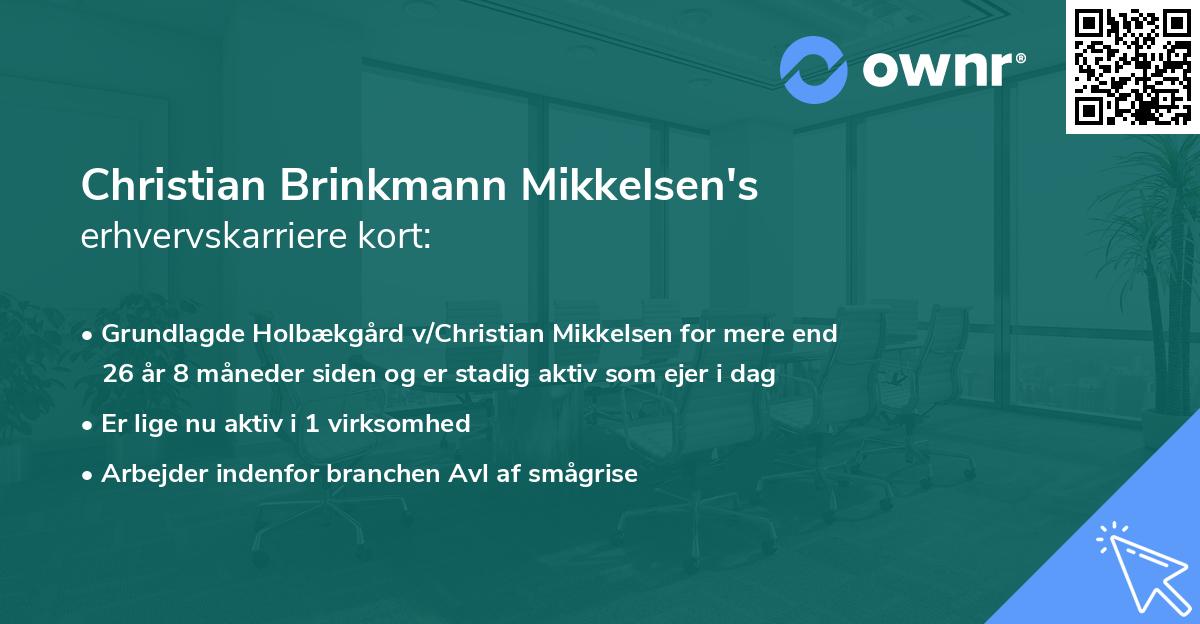 Christian Brinkmann Mikkelsen's erhvervskarriere kort