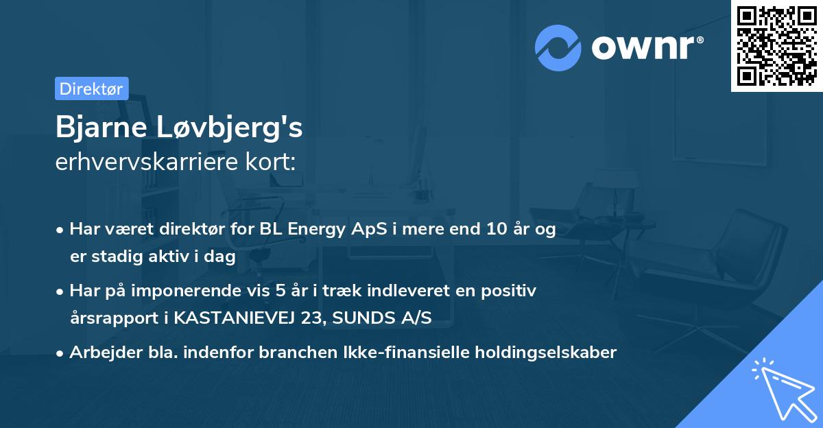 Bjarne Løvbjerg's erhvervskarriere kort