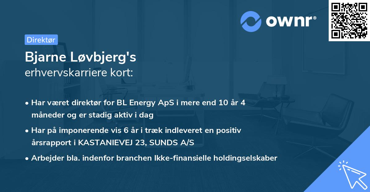 Bjarne Løvbjerg's erhvervskarriere kort