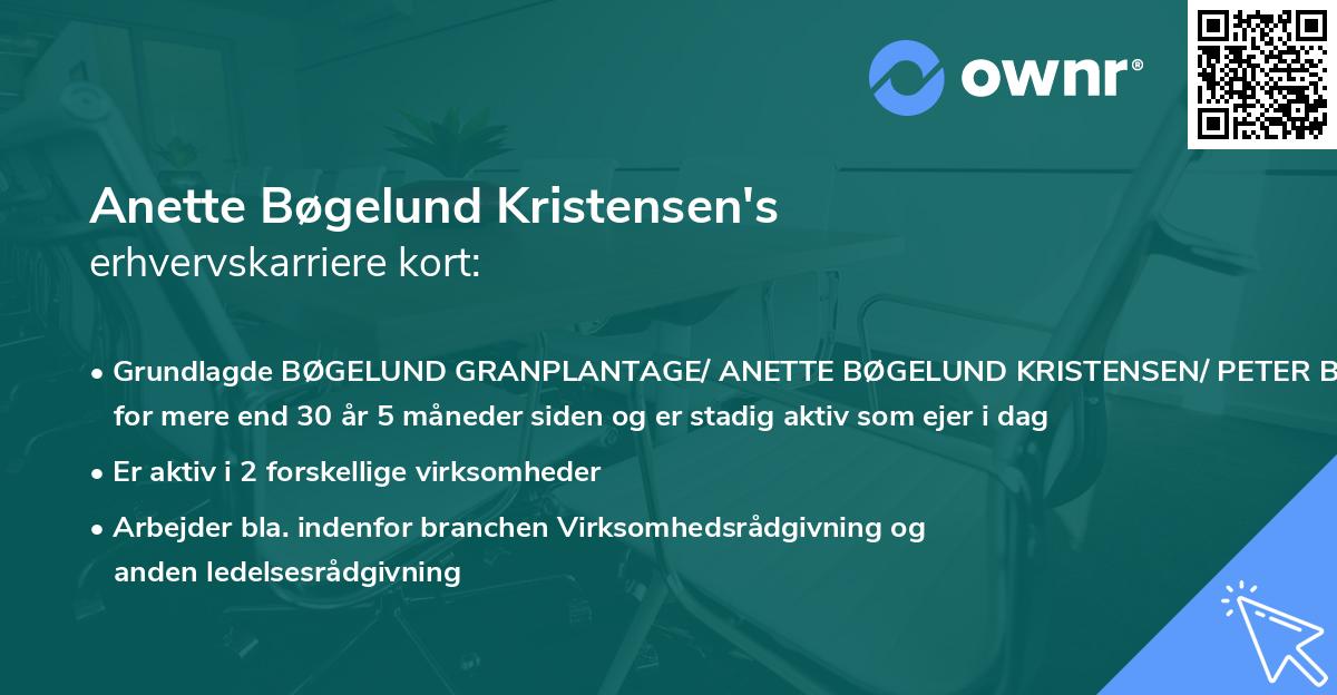 Anette Bøgelund Kristensen's erhvervskarriere kort