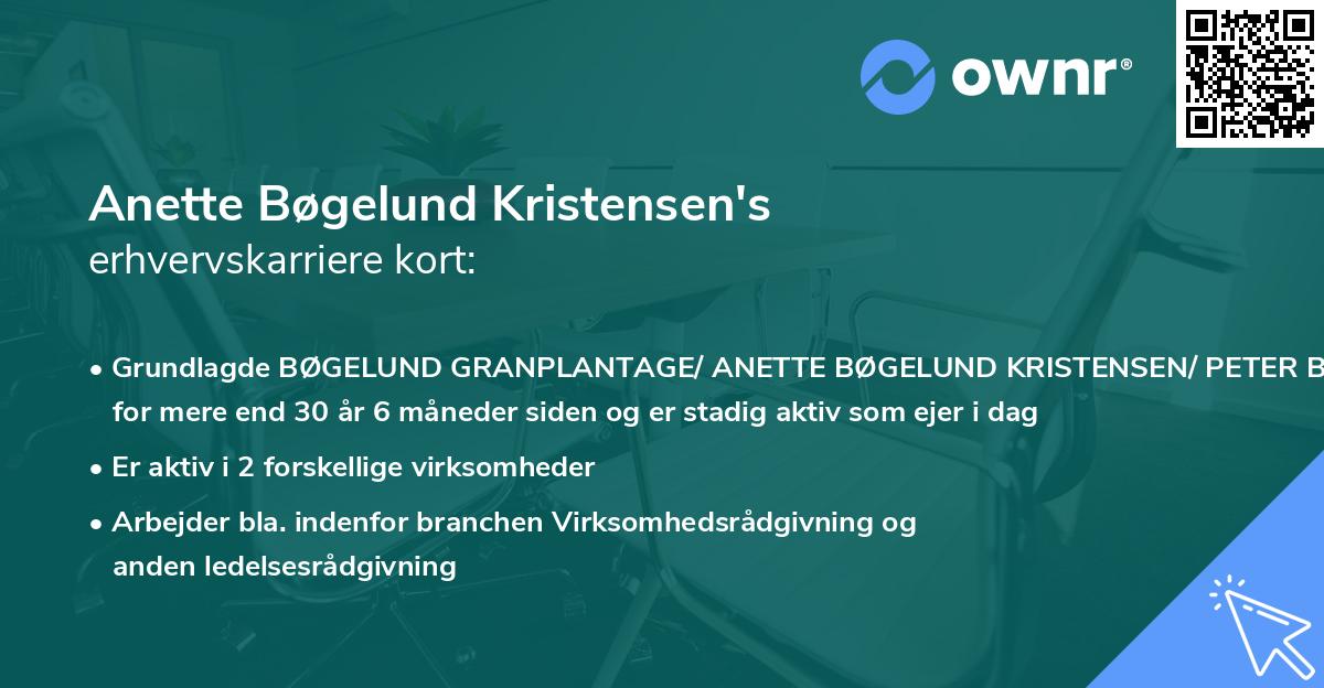Anette Bøgelund Kristensen's erhvervskarriere kort