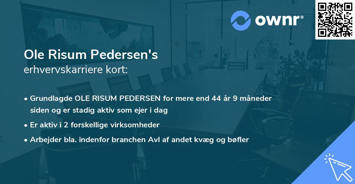 Ole Risum Pedersen's erhvervskarriere kort