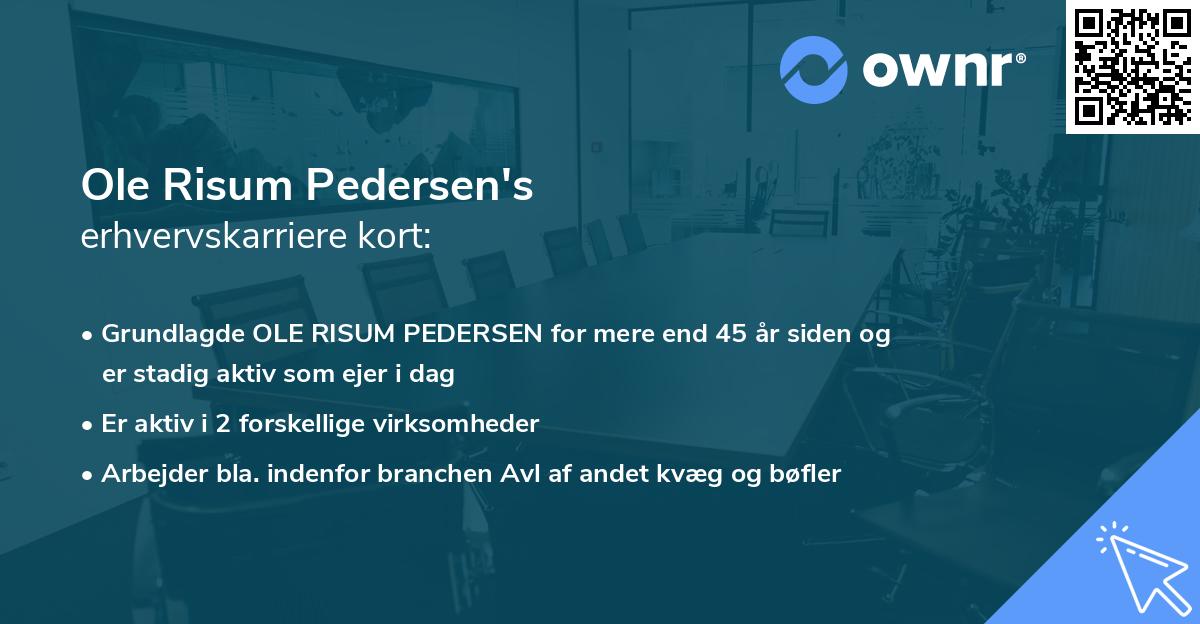 Ole Risum Pedersen's erhvervskarriere kort
