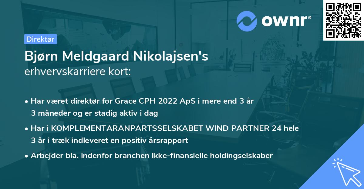 Bjørn Meldgaard Nikolajsen's erhvervskarriere kort