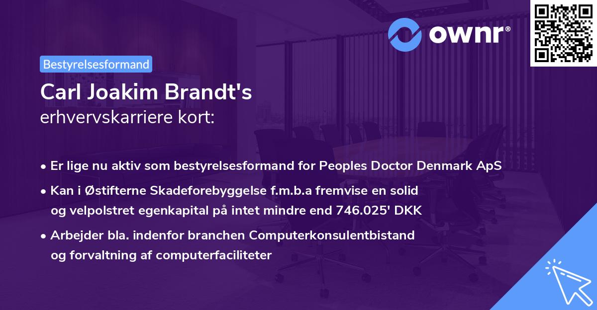 Carl Joakim Brandt's erhvervskarriere kort