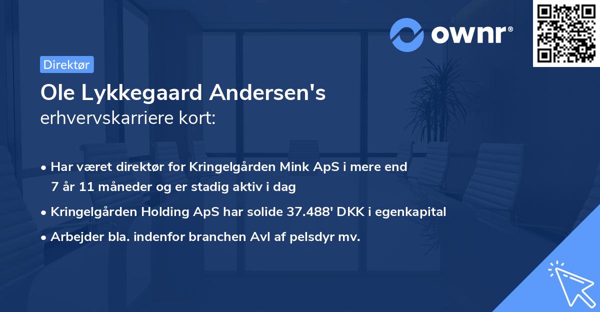 Ole Lykkegaard Andersen's erhvervskarriere kort