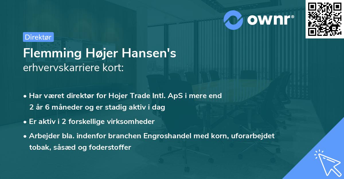 Flemming Højer Hansen's erhvervskarriere kort