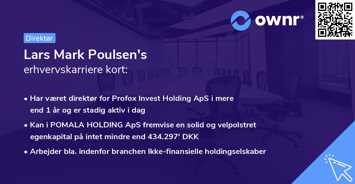 Lars Mark Poulsen's erhvervskarriere kort