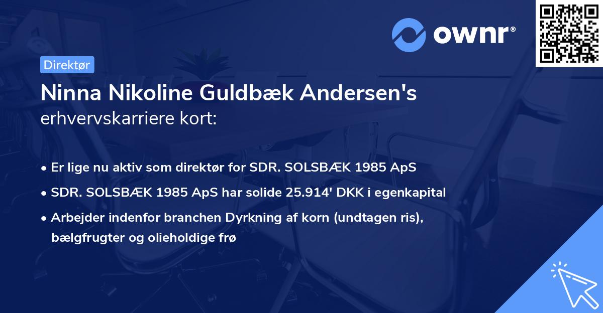 Ninna Nikoline Guldbæk Andersen's erhvervskarriere kort