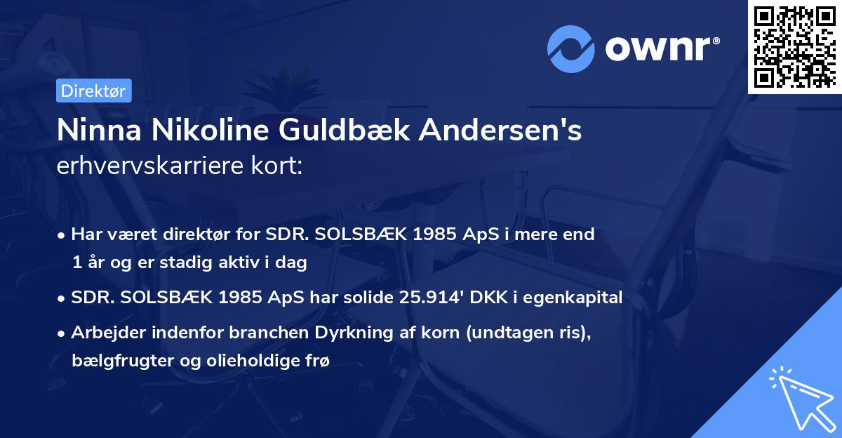 Ninna Nikoline Guldbæk Andersen's erhvervskarriere kort