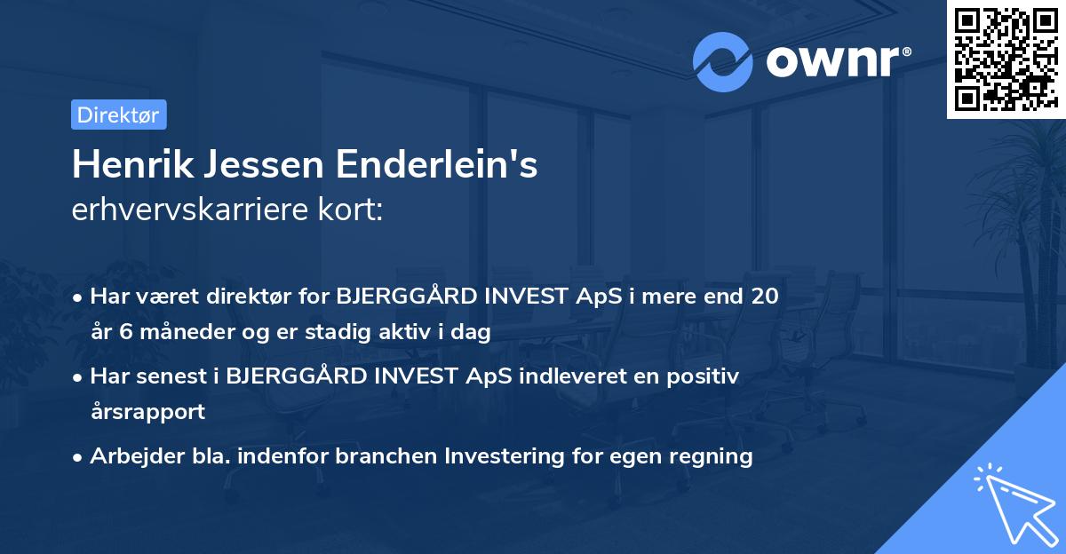 Henrik Jessen Enderlein's erhvervskarriere kort