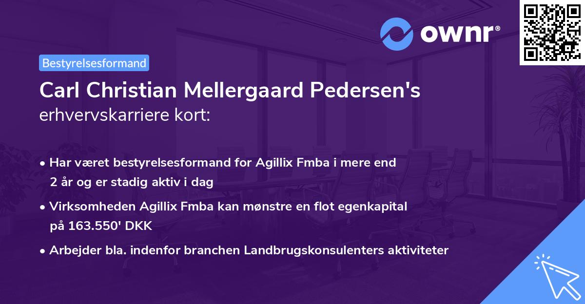Carl Christian Mellergaard Pedersen's erhvervskarriere kort