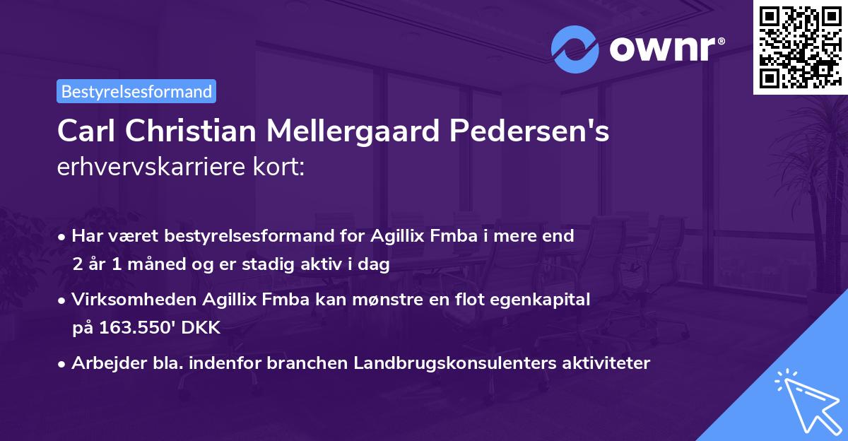 Carl Christian Mellergaard Pedersen's erhvervskarriere kort
