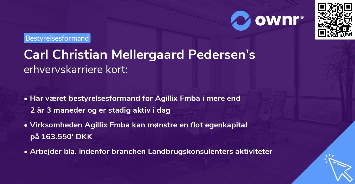 Carl Christian Mellergaard Pedersen's erhvervskarriere kort