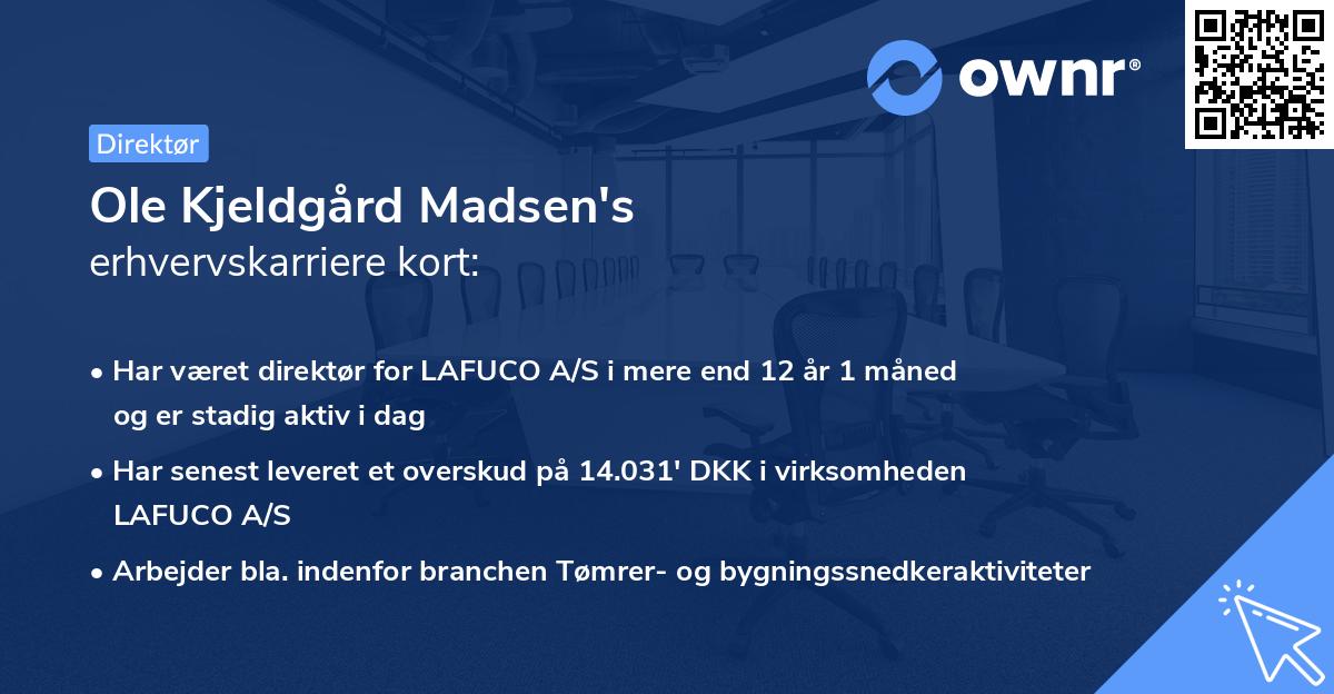 Ole Kjeldgård Madsen's erhvervskarriere kort