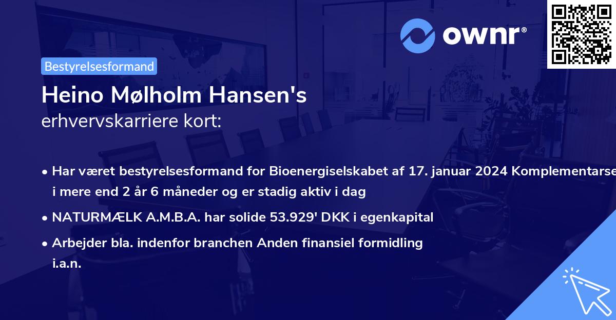 Heino Mølholm Hansen's erhvervskarriere kort