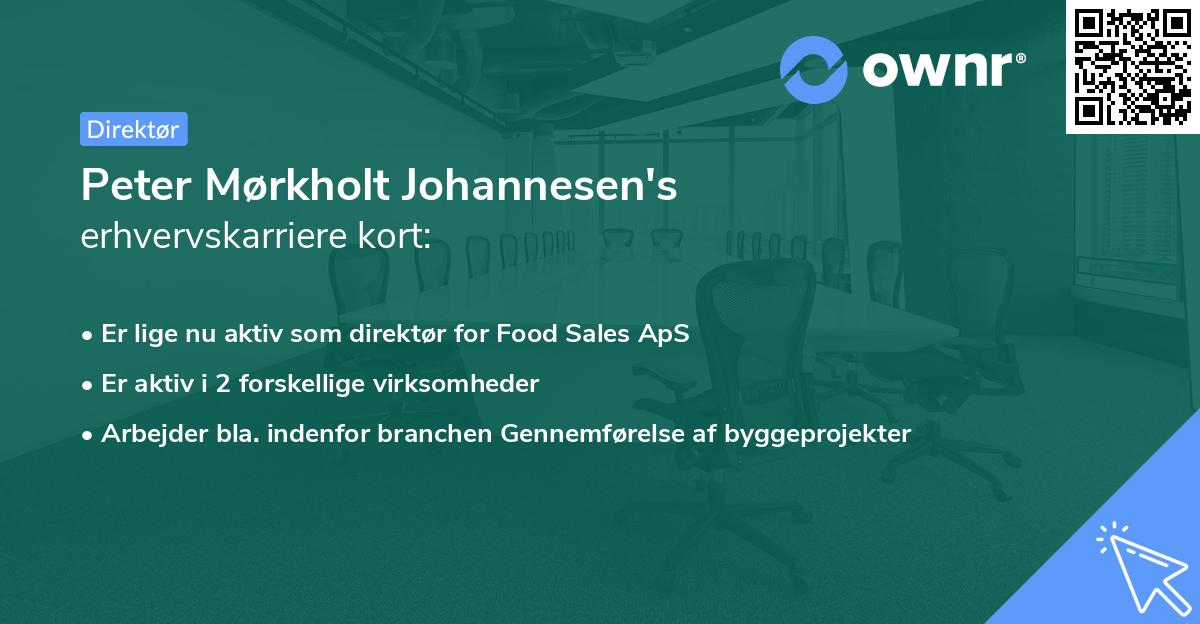 Peter Mørkholt Johannesen's erhvervskarriere kort