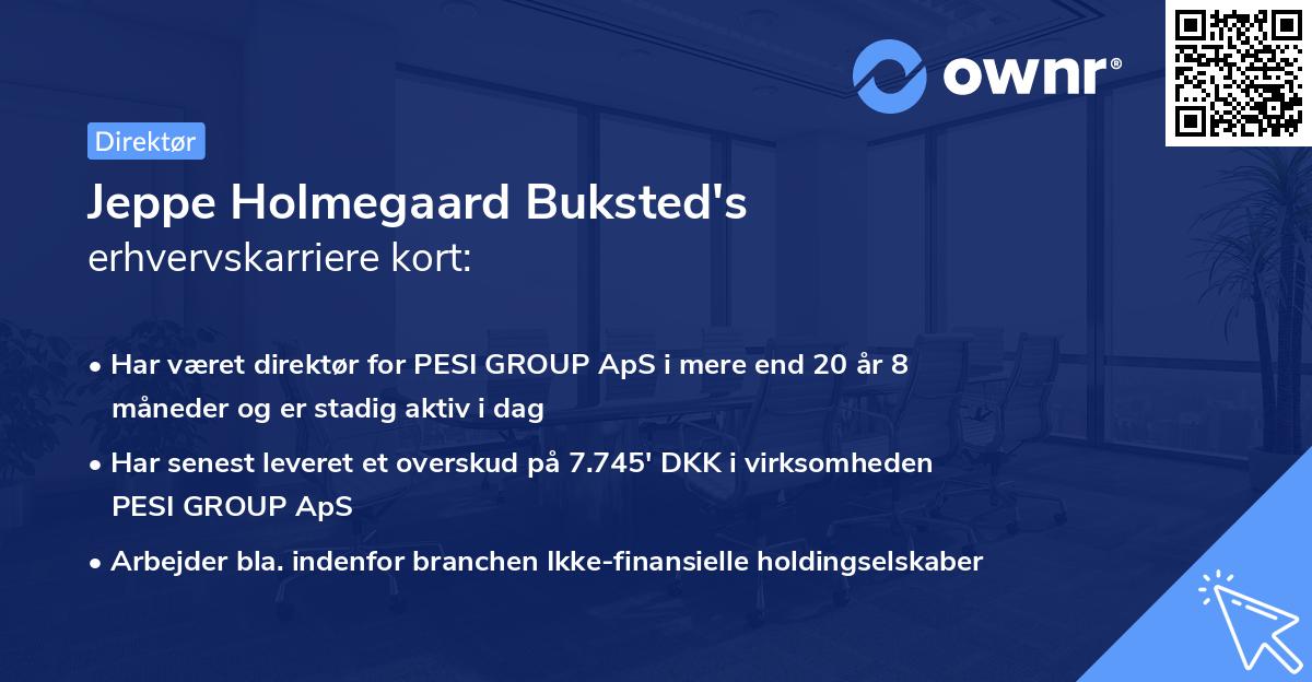 Jeppe Holmegaard Buksted's erhvervskarriere kort
