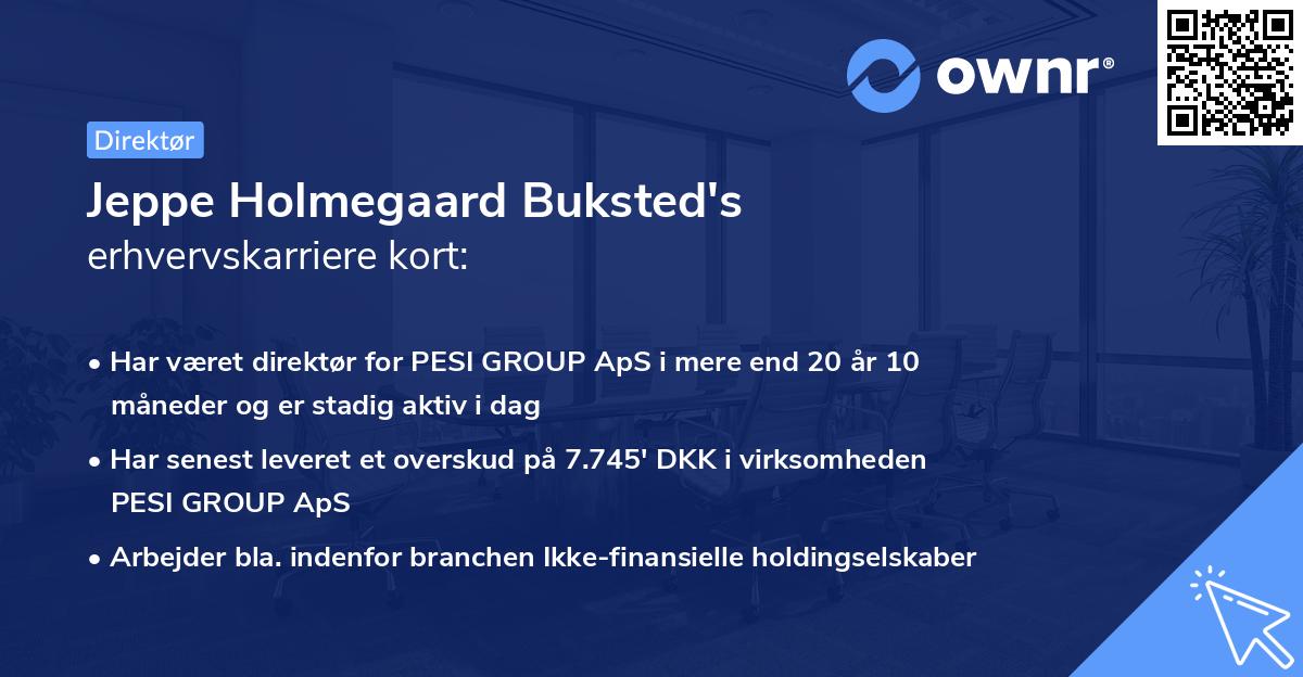 Jeppe Holmegaard Buksted's erhvervskarriere kort