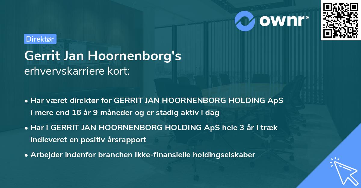 Gerrit Jan Hoornenborg's erhvervskarriere kort