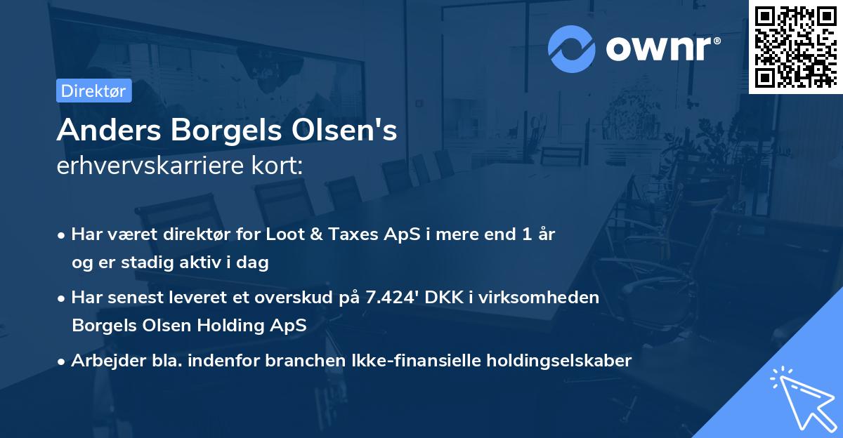 Anders Borgels Olsen's erhvervskarriere kort