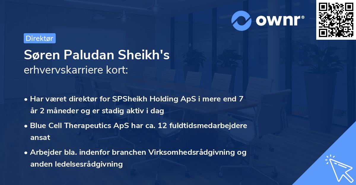 Søren Paludan Sheikh's erhvervskarriere kort