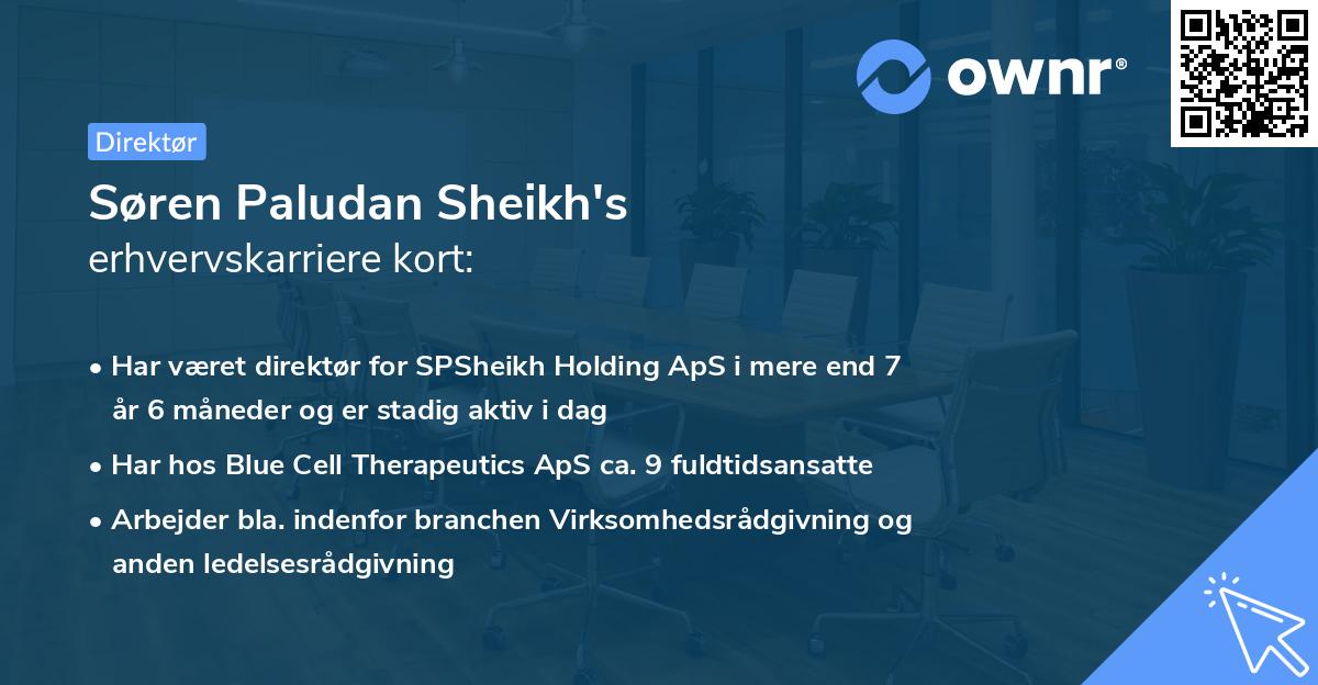 Søren Paludan Sheikh's erhvervskarriere kort