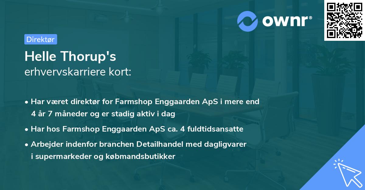 Helle Thorup's erhvervskarriere kort