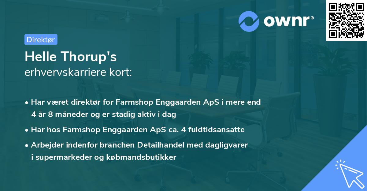 Helle Thorup's erhvervskarriere kort