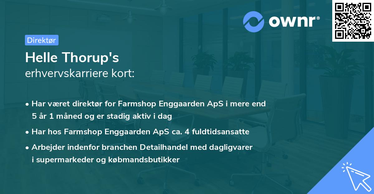Helle Thorup's erhvervskarriere kort