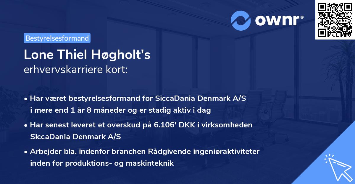 Lone Thiel Høgholt's erhvervskarriere kort