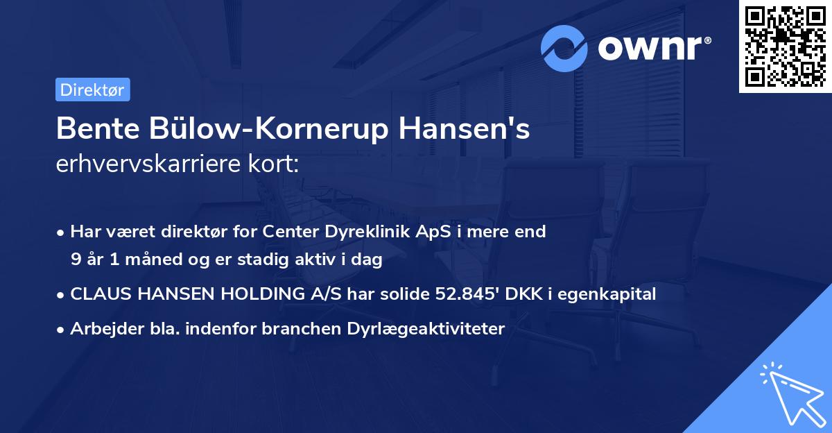 Bente Bülow-Kornerup Hansen's erhvervskarriere kort