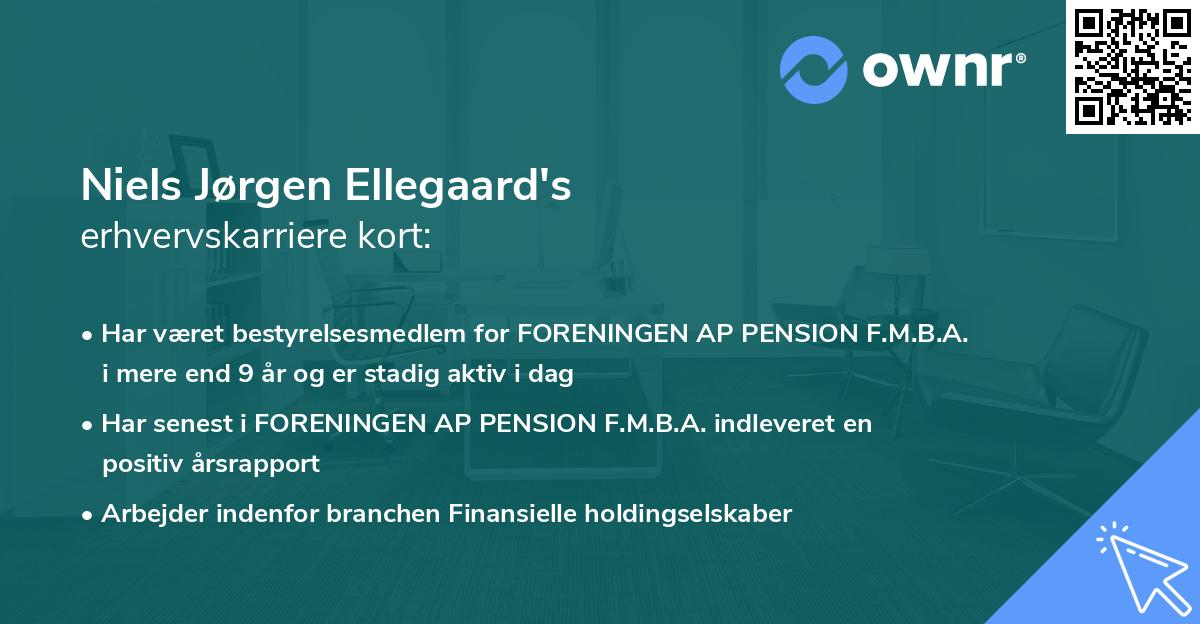 Niels Jørgen Ellegaard's erhvervskarriere kort