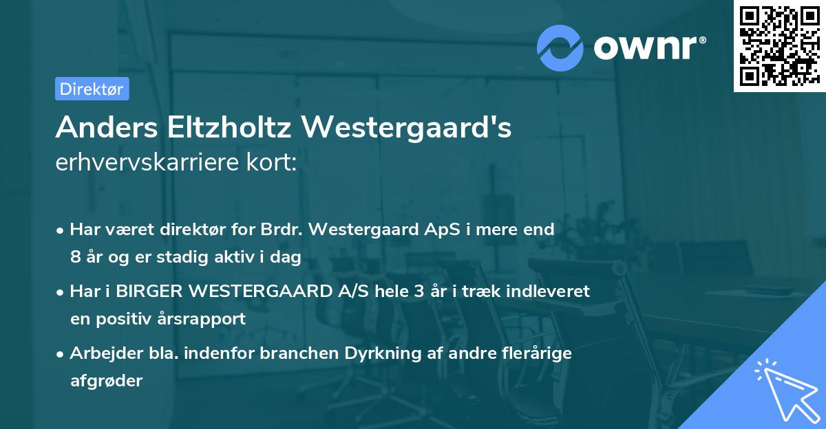 Anders Eltzholtz Westergaard's erhvervskarriere kort