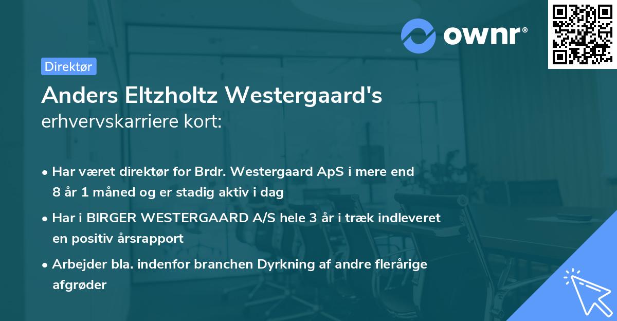 Anders Eltzholtz Westergaard's erhvervskarriere kort