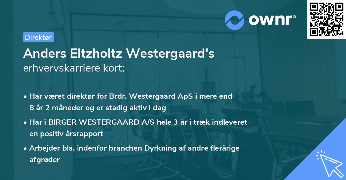 Anders Eltzholtz Westergaard's erhvervskarriere kort