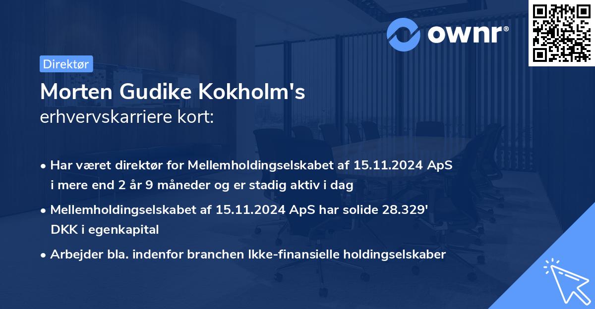 Morten Gudike Kokholm's erhvervskarriere kort