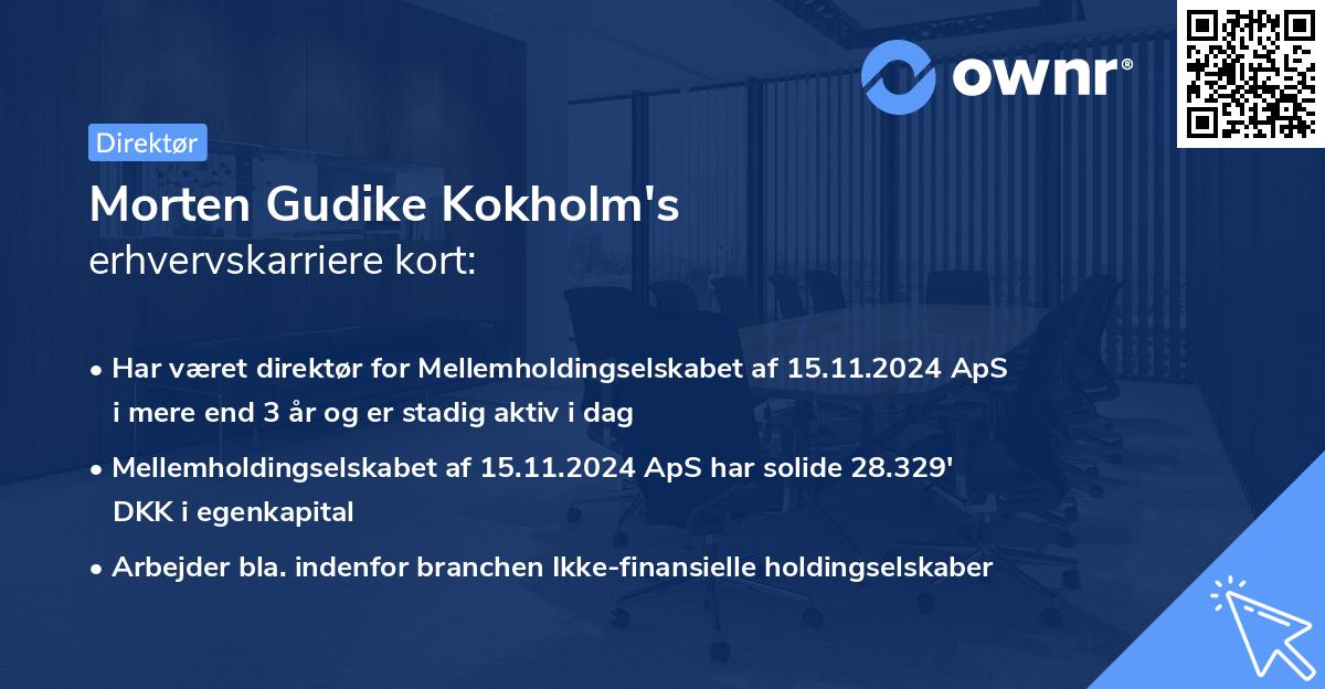 Morten Gudike Kokholm's erhvervskarriere kort