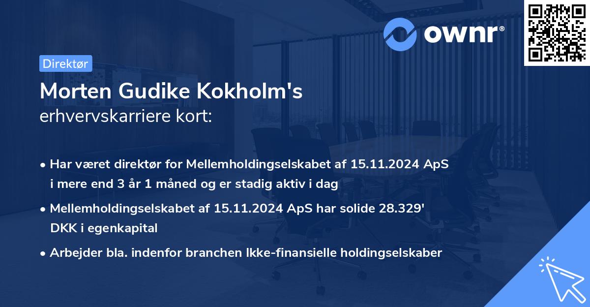 Morten Gudike Kokholm's erhvervskarriere kort
