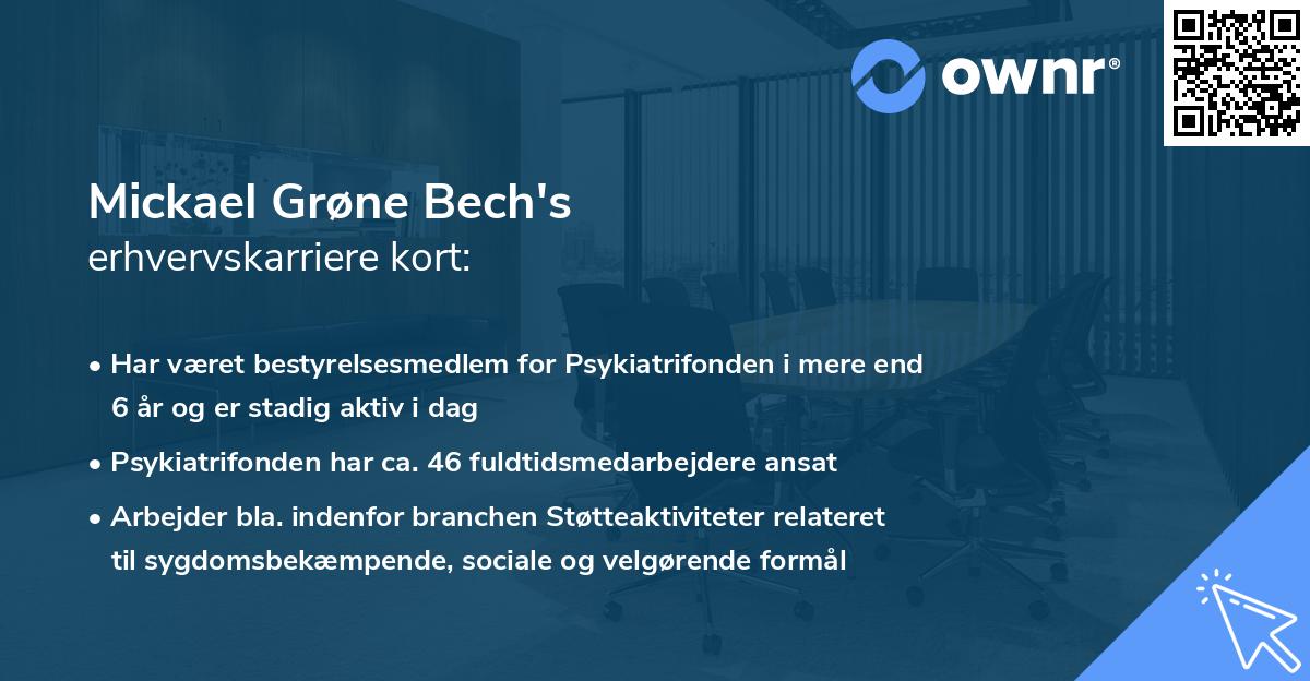 Mickael Grøne Bech's erhvervskarriere kort